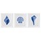 Stupell Industries Blue Chinoiserie Seashells 3pc Framed Print Under Glass Set, design by Courtney Prahl